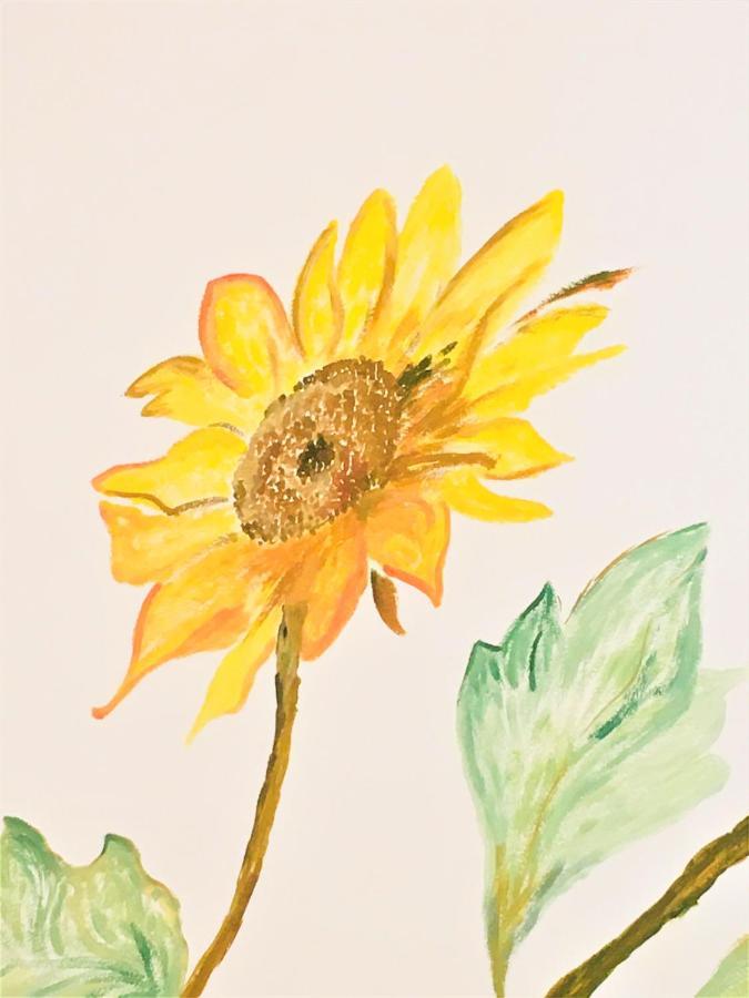 카프리노 베로네세 Il Girasole 아파트 외부 사진